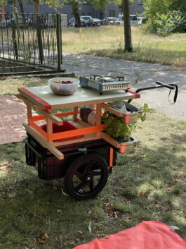 anis anaïs looalian