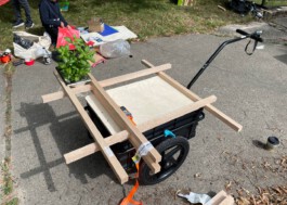 anis anaïs looalian