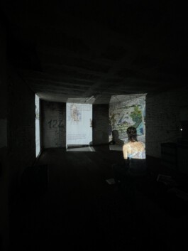 anis anaïs looalian