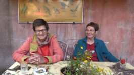 anis anaïs looalian