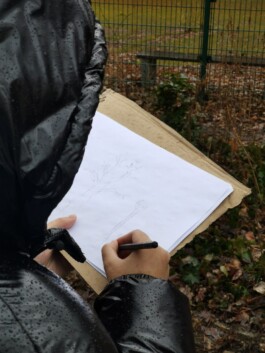 anis anaïs looalian