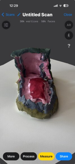 anis anaïs looalian