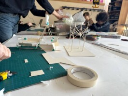 anis anaïs looalian