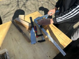 anis anaïs looalian