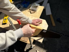 anis anaïs looalian